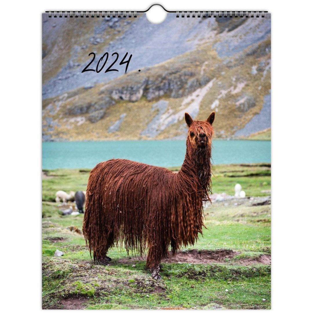 Alpaca Calendar 2024 Monthly Calendar Animal Photography Etsy