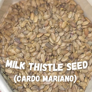 Milk thistle seed , Cardo Mariano, Dried Seeds, organic herbs, quality bulk herbs , orgánico , healthy tea