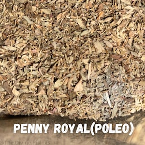 Penny Royal, Hierba de Poleo, Quality Bulk Herbs,Hierbas a granel, dried herbs, organic herbs, orgánico, botánica , remedies, wholesale, tea