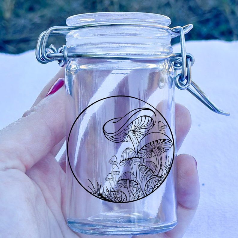 Stash Jars, Mushroom Container, Weed Jar, Marijuana Storage, Cute Glass
