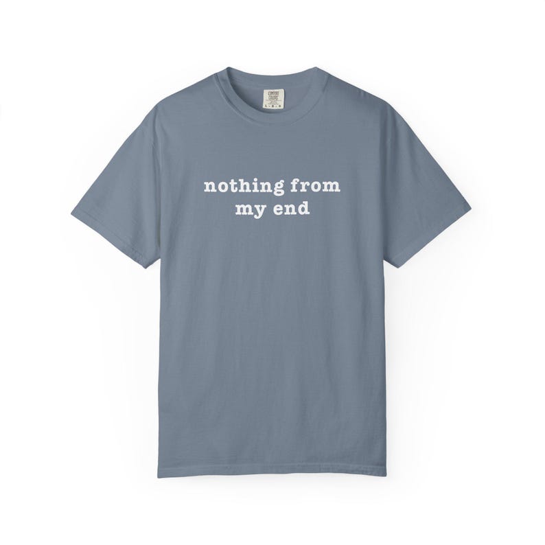 Nothing From My End T-Shirt Humor Meme shirt Funny Relatable tee Comfort Colors tshirt Ironic Internet top image 4