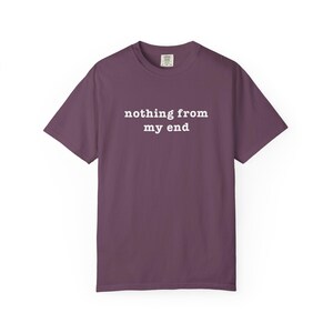 Nothing From My End T-Shirt Humor Meme shirt Funny Relatable tee Comfort Colors tshirt Ironic Internet top image 7