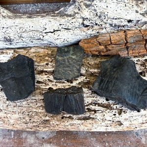 Könnte beinhalten: Drei Fragmente von kohlefarbenem, versteinertem Holz mit sichtbaren Maserungen und texturierten Oberflächen. Die Fragmente sind unregelmäßig geformt, weisen tiefe Rillen sowie eine matte Oberfläche auf und zeigen natürliche geologische Formationen.