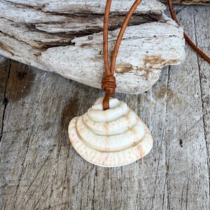May include: A pendant featuring a white and tan spiral seashell with a smooth, layered texture. The shell is suspended from a brown leather cord that is knotted at the top, creating a simple necklace design with natural, earthy tones and patterns.