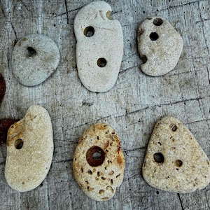 Könnte beinhalten: Sechs verwitterte, hellfarbene Steine mit natürlichen Löchern. Die Steine haben unterschiedliche Formen, darunter rund, oval und dreieckig. Die Löcher sind unterschiedlich groß und ein markantes Merkmal. Die Steine liegen auf einer strukturierten Holzoberfläche.