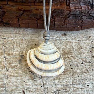 May include: A pendant featuring a natural, off-white seashell with concentric ridges and subtle tan speckles. The shell is suspended from a simple, smooth grey leather cord that is knotted securely at the top of the shell's apex.