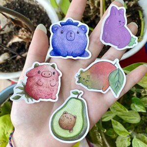 Obst Tier Sticker Set | Niedliche und bunte 5 Stück wasserdichte glänzende Vinyls