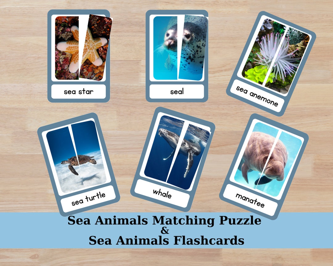 Sea Animals Matching Puzzle, Sea Animals Flashcards, Matching Cards
