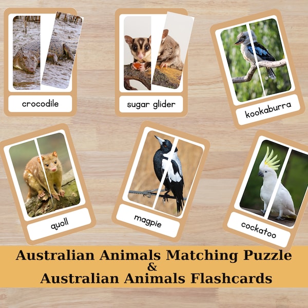 Australian Animals Matching Puzzle, Australian Flashcards, Matching Cards, Symmetry, Montessori Activity, Toddler, Preschool, Homeschool