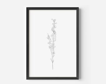 Lavender Line Art | Botanical Contour Drawing | Flower Print | Black and White