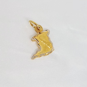 10K Yellow Gold TINY Map Charm,  Miniature Gold Trinidad Map, Embossed Trinidad Charm, West Indian Jewelry, Trinidad Bracelet Charm, 7MMx8MM