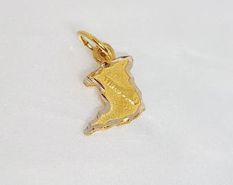Ciondolo con mappa minuscola in oro giallo 10K, mappa di Trinidad in miniatura in oro, ciondolo con Trinidad in rilievo, gioielli delle Indie Occidentali, ciondolo per bracciale di Trinidad, 7 mm x 8 mm