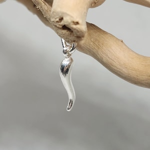 Puede incluir: Un amuleto de plata en forma de cuerno, un símbolo tradicional italiano de buena suerte.