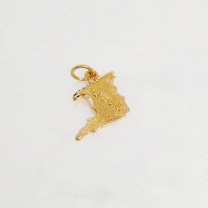 10K geelgouden kleine kaartbedel, miniatuur gouden Trinidad-kaart, gouden reliëf Trinidad-bedel, West-Indische sieraden, Trini-armbandbedel, 11 x 9 mm