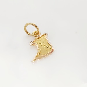 10 kt geelgouden KLEINE kaartbedel, miniatuur gouden Trinidad-kaart, reliëf Trinidad-bedel, West-Indische sieraden, Trinidad-armbandbedel, 6 x 9 mm