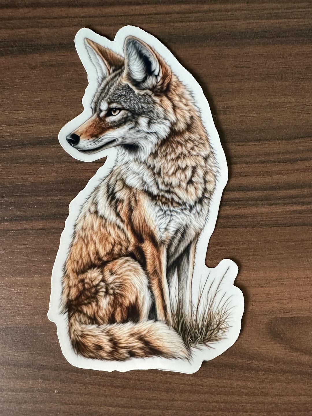 Majestic Coyote Vinyl Sticker - Etsy