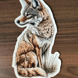 Pegatina de vinilo de majestuoso coyote
