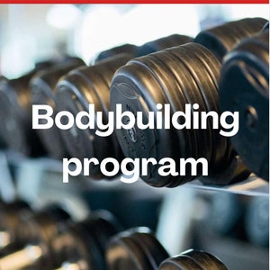 bodybuilding program image 1