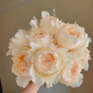May include: A bouquet of creamy white and peach-colored roses. The flowers have multiple layers of delicate petals, with the inner petals displaying a soft peach hue. The arrangement is held together, showcasing a natural, elegant floral display.