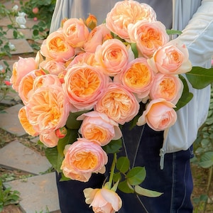 May include: A set of three ceramic mugs with a speckled, matte finish. The mugs are in shades of cream, light gray, and dark gray. Each mug has a simple, minimalist design, perfect for coffee or tea.