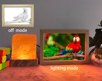 Custom LED Pet Portrait Frame – Dual-View Illuminated Art