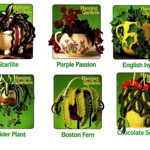 Wzór na szydełko Vintage Wiszące rośliny domowe Sztuczne rośliny Starlite Purple Passion English Ivy, Paproć Boston, Żołnierz czekoladowy