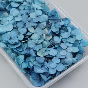 4g Bright Sky Blue Preserved Hydrangea – Dried Flowers for Resin, Candles, and Other Handmade Craft Decorations