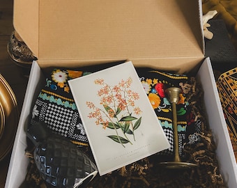 Themed mystery thrift box | Pick your theme mystery box