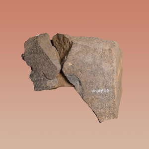 Legacy of a Dynasty: The Tel Dan Stele (Replica)