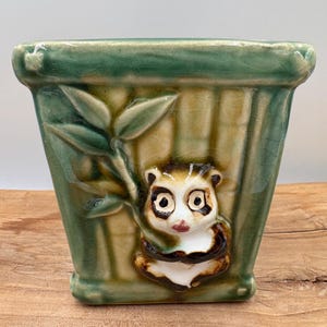 Peut inclure: Un pot carré en céramique avec un motif de bambou vert et beige. Un panda est centré sur le devant. Le pot mesure environ 13 cm de haut et 13 cm de large.