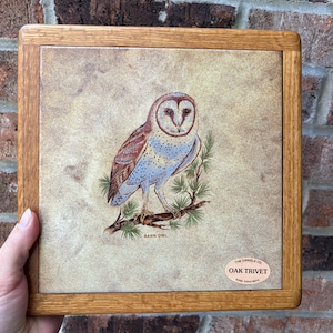 May include: Square oak trivet featuring a detailed illustration of a barn owl perched on a branch. The owl has brown, white, and blue plumage. The trivet has a light brown background and a wooden frame. The text "BARN OWL" is visible.