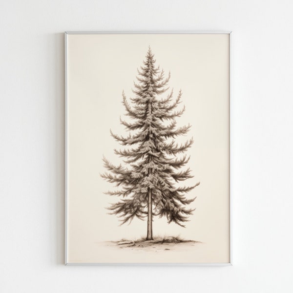 Vintage Norway Spruce Neutral Tree Sketch Print, Printable Wall Art, Pencil Drawing, Vintage Printable Art, Neutral Cream Tree Wall Art