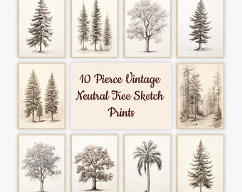 May include: Set of ten vintage neutral tree sketch prints. The prints feature various trees, including palm trees, pine trees, and deciduous trees. The prints are in black and white and have a vintage aesthetic.