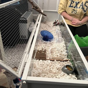 Ikea detolf hamster cage dimensions on sale