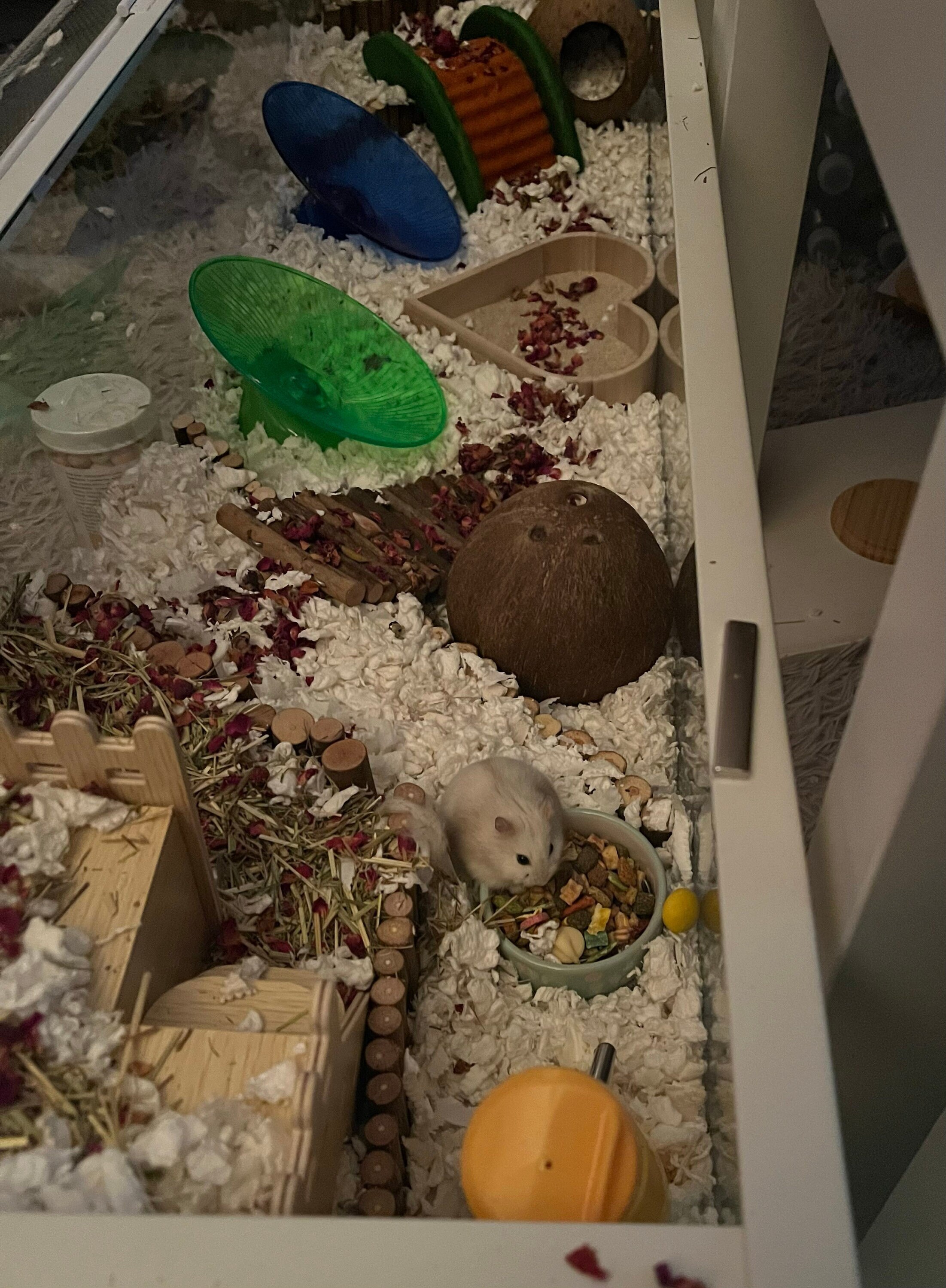 Long Glass Hamster Cage With Breathable Wire Top Etsy UK