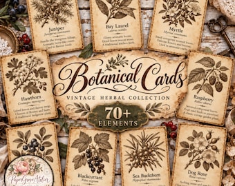 Può includere: Una collezione di carte botaniche rettangolari su carta in stile vintage, con illustrazioni a inchiostro nero di piante tra cui ginepro, alloro, mirto, biancospino, lampone, ribes nero, olivello spinoso e rosa canina con testo.