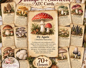 Può includere: Una collezione di carte ATC in stile vintage con varie illustrazioni di funghi e testo descrittivo. La carta centrale mette in risalto l'Amanita muscaria con cappello rosso e macchie bianche. Il set include oltre 70 elementi in download digitale.