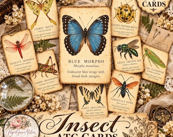 Può includere: Una collezione di carte rettangolari a tema insetti con illustrazioni di un Morpho blu, una falena cometa, una libellula, una cavalletta, un coleottero tartaruga, un'ape, una cicala, un podalirio e una vespa cacciatrice di tarantole.