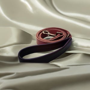 Leather Dog Leash (Free Shipping)