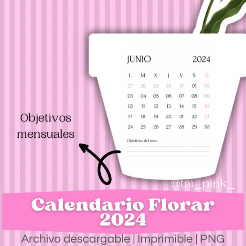 2024 Calendar Printable in Spanish PNG Planner Etsy UK