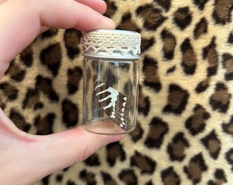 Butterfly wing in jar