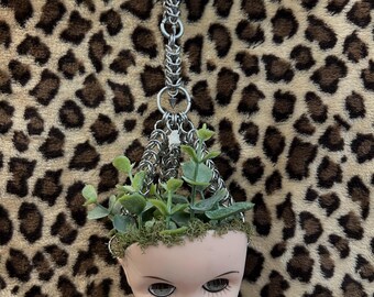 Baby head fake plant hanging home decor