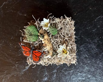 Hueso de la mandíbula montado