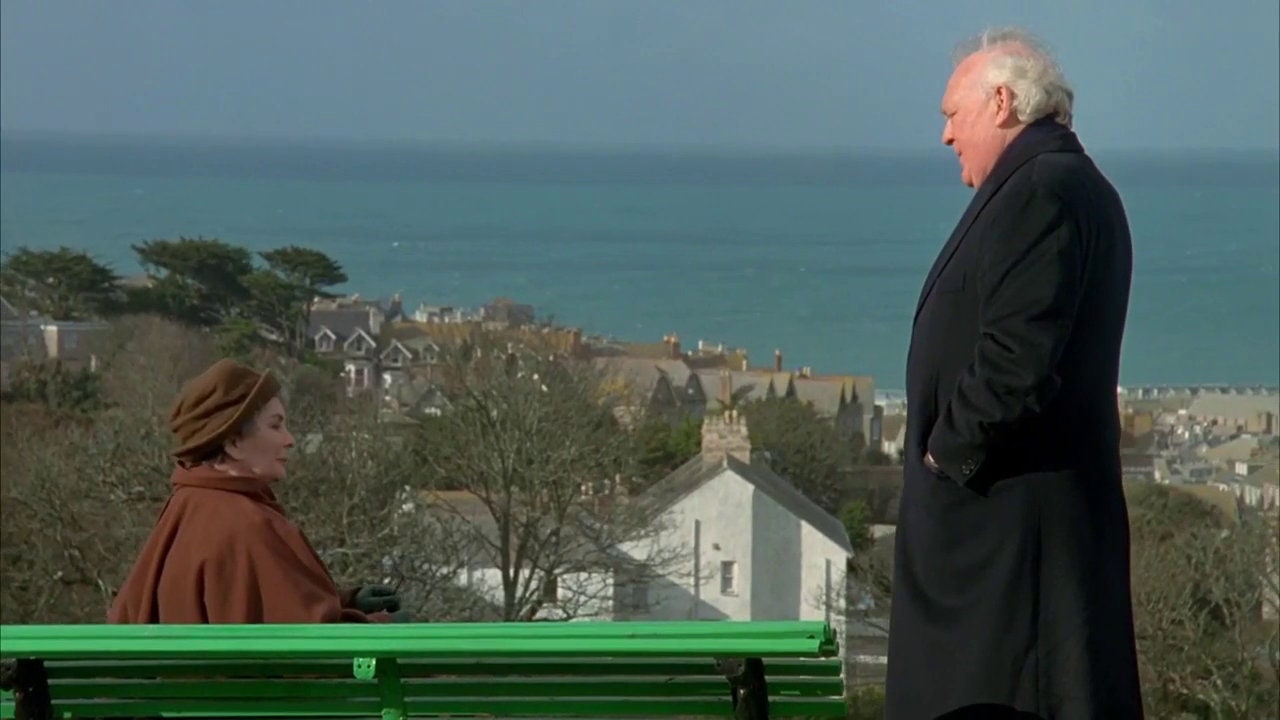 Daisies in December 1995 DVD Etsy