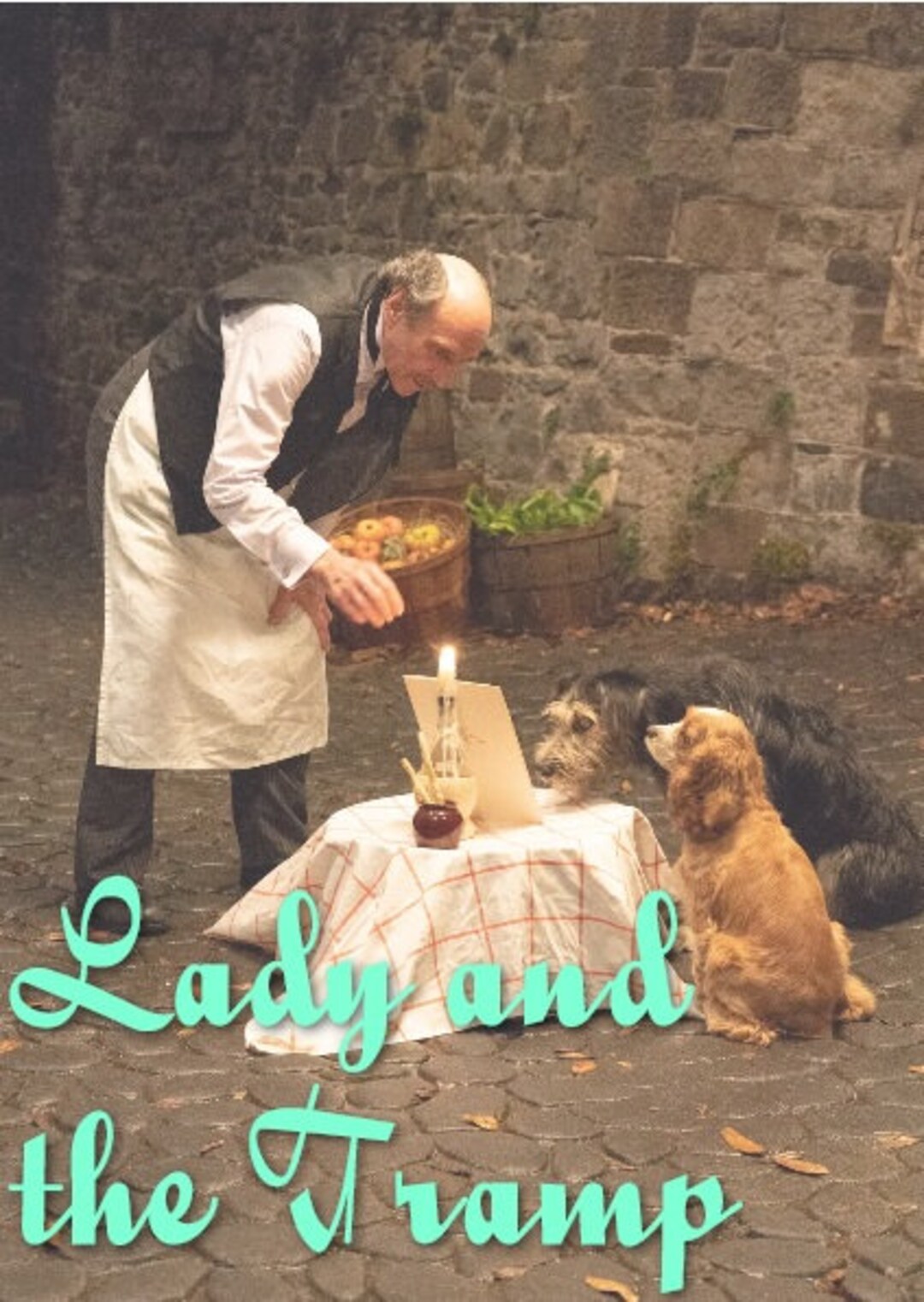 Lady and the Tramp 2019 DVD Etsy