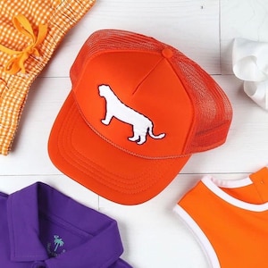 Youth Tiger Mascot Hat