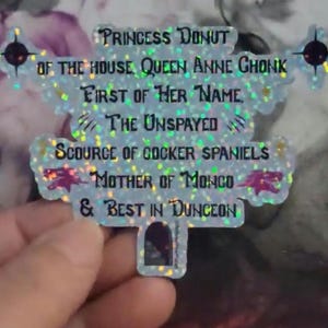 Pegatina holográfica de vinilo con el nombre de la princesa Donut, Dungeon Crawler Carl