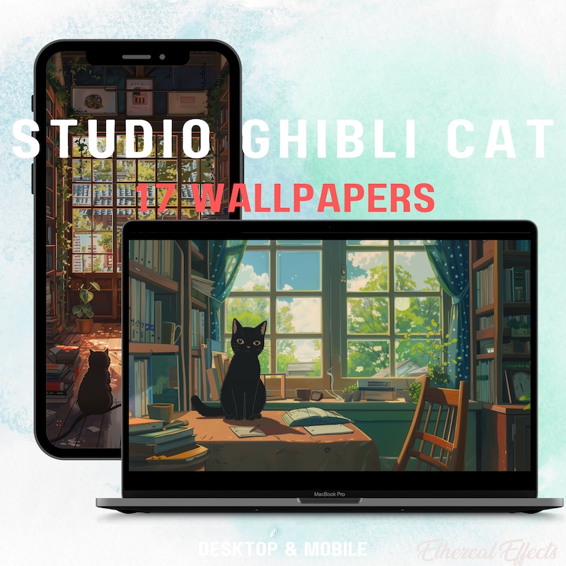 Black Cat Plant Black Cat Plant