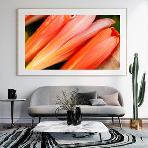 Orange Flowers, Photography, Wall Art, Print