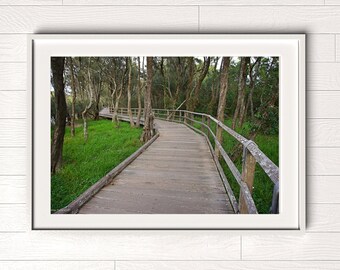 Let's Explore, Natural Vista, Photography, Wall Art, Print/Framed Print/Canvas